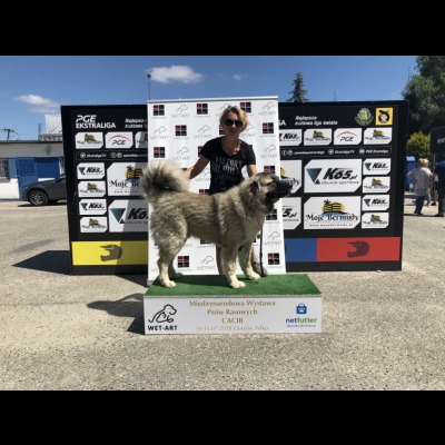 IDS GORZÓW WIELKOPOLSKI'18 - BALDUR